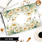 Daisy || Border Collection